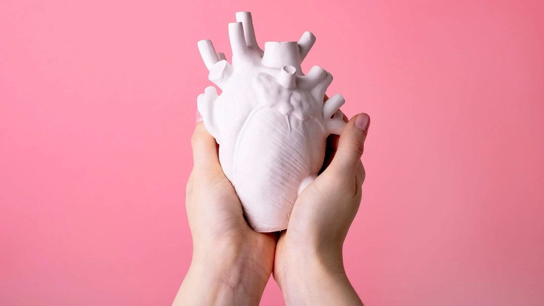 Die Bedeutung von Coenzym Q10 für Herzgesundheit und Energieproduktion