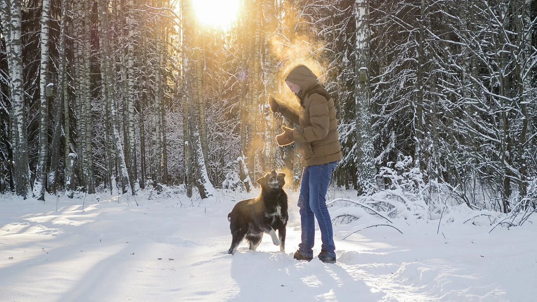 Bewegung im Winter: So bleiben Sie trotz Kälte fit und aktiv
