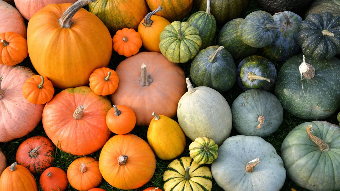 Nährstoffreiches Herbstessen: Lebensmittel, die Ihre Energie steigern