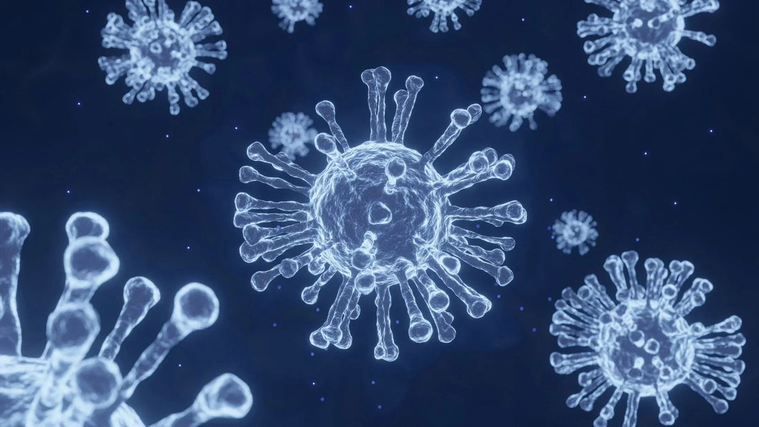 Viren und Kälte: So schützt du dich im Winter effektiv vor Infektionen