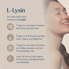 L-Lysin