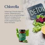 Chlorella