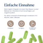 Chlorella