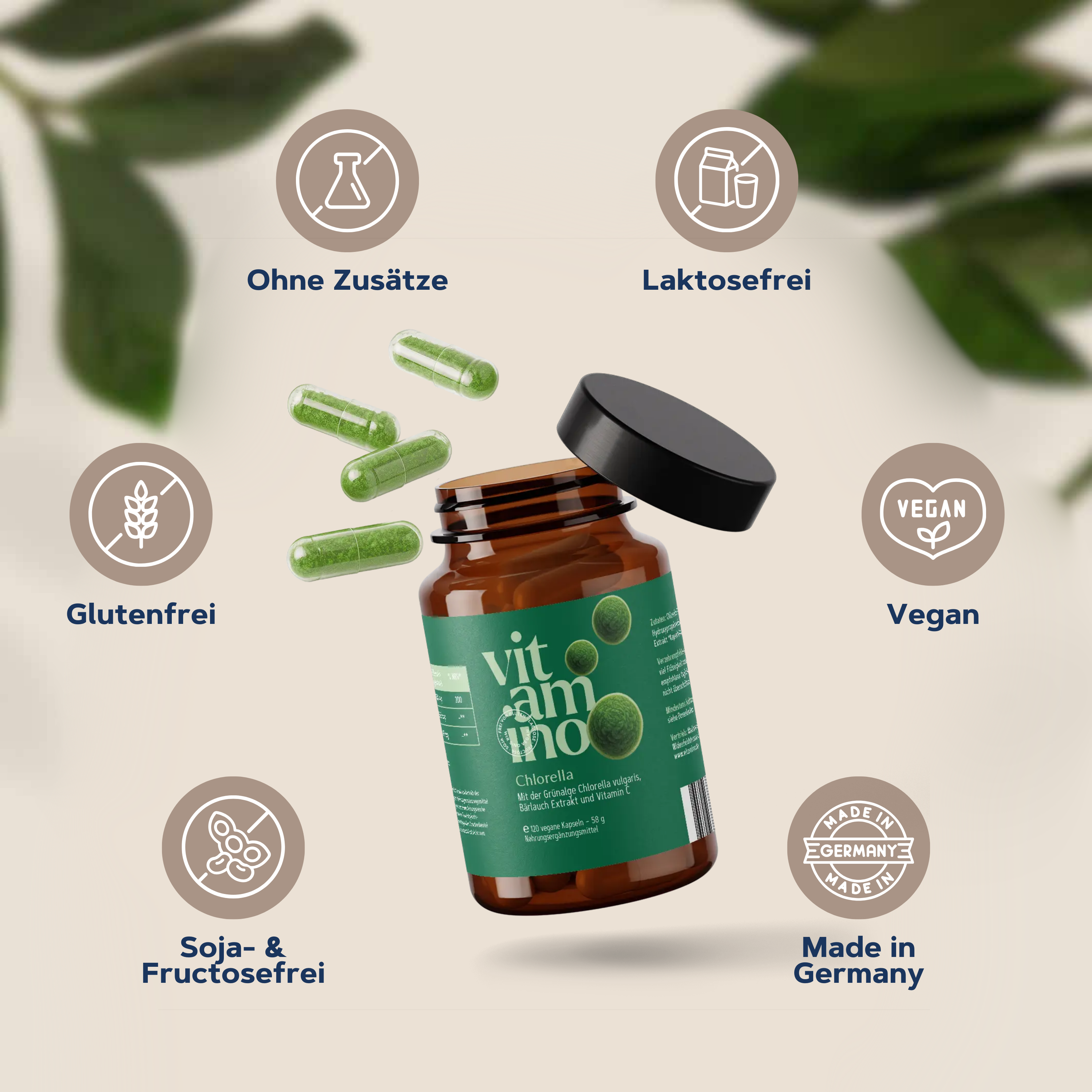 Chlorella