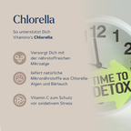 Chlorella
