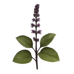 ingredient
