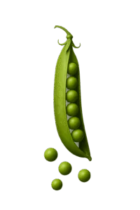 ingredient