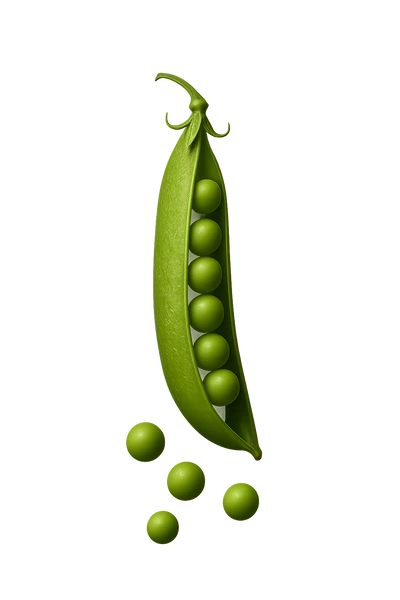 ingredient