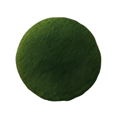 ingredient