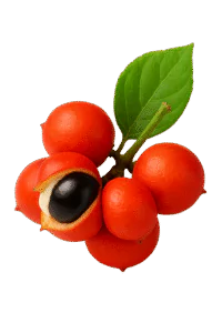 ingredient