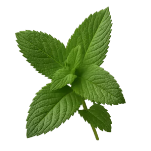 ingredient