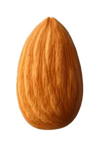 ingredient