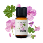 Geranien Öl von Aetherya - No. 009 BALANCE