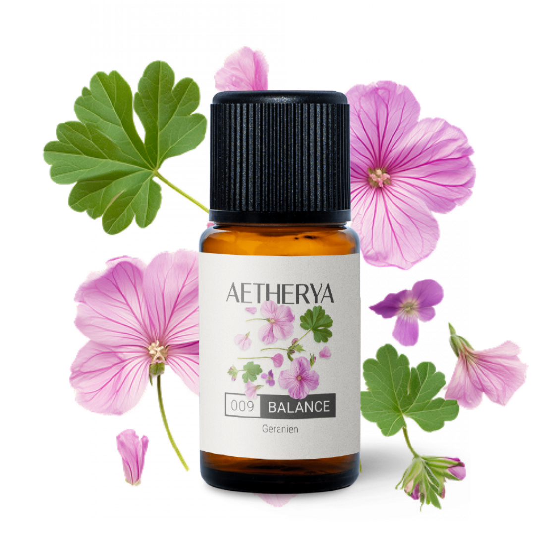 Geranien Öl von Aetherya - No. 009 BALANCE