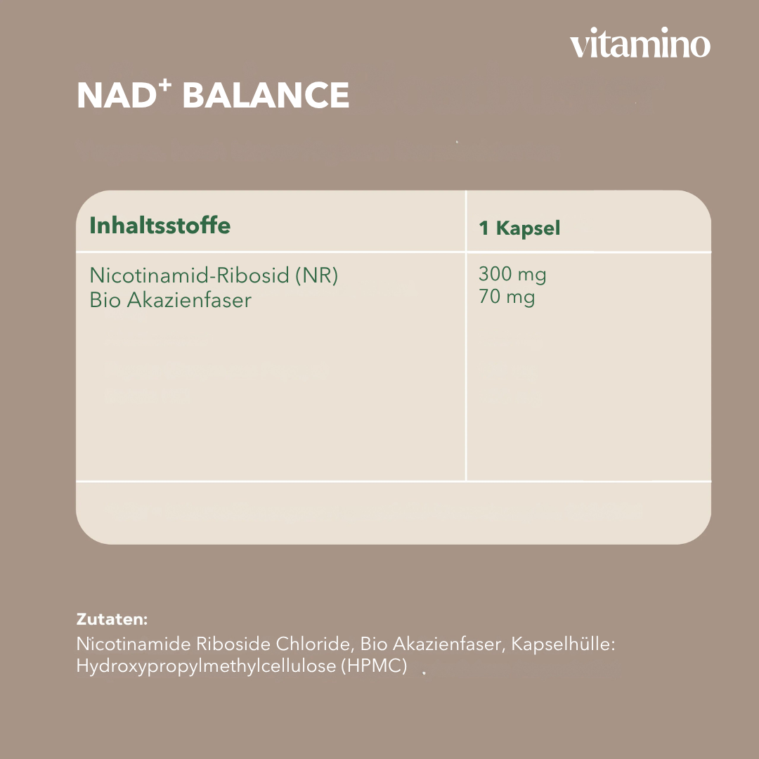 Équilibre NAD⁺