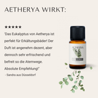 Eukalyptus Öl von Aetherya - No. 007 CLARITY